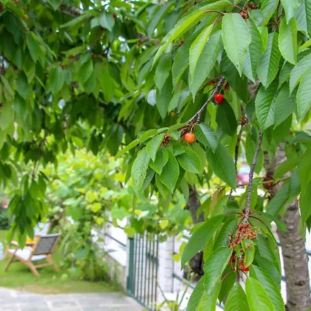 بيت ريفي Lamprini's Deluxe *